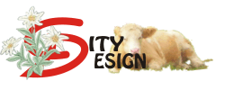 azienda webdesign viennese City Design Austria